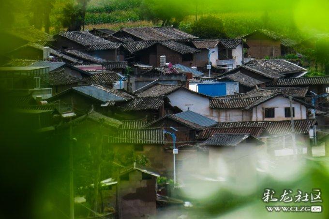 亲爱的金主大人