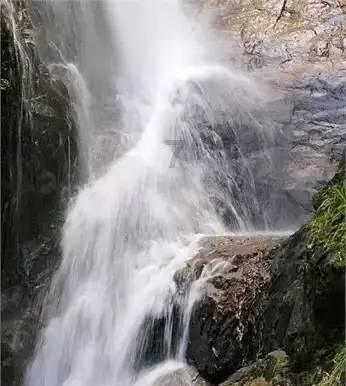 现在退休的党员干部出生年月是多少?游戏画面